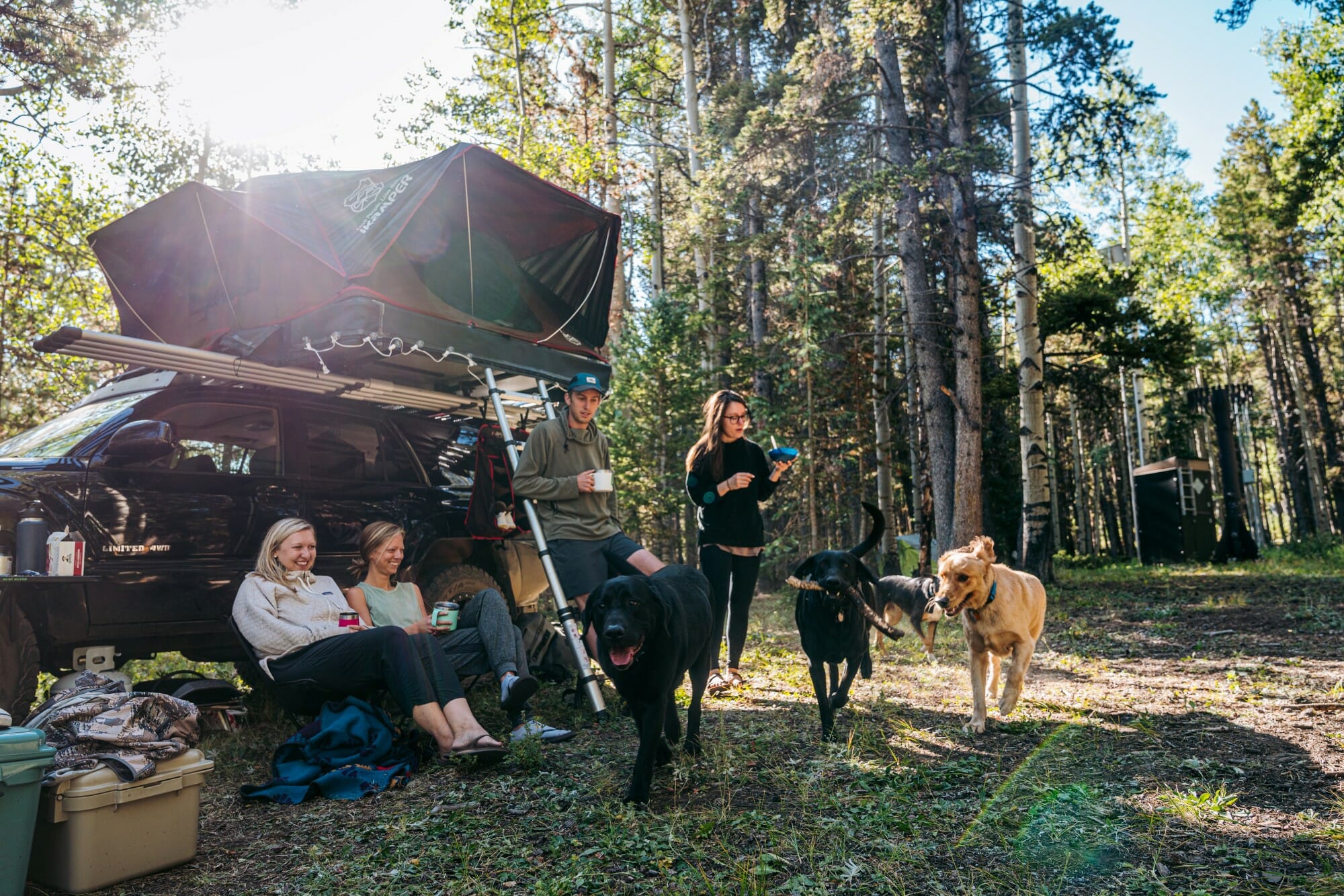 Una tenda da tetto per 4 persone: L'X-Cover di iKamper offre molto spazio.